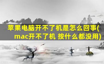 苹果电脑开不了机是怎么回事(mac开不了机 按什么都没用)